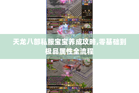 天龙八部私服宝宝养成攻略,零基础到极品属性全流程