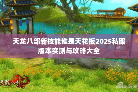 天龙八部新技能谁是天花板2025私服版本实测与攻略大全 天龙八部新技能谁是天花板2025私服版本实测与攻略大全