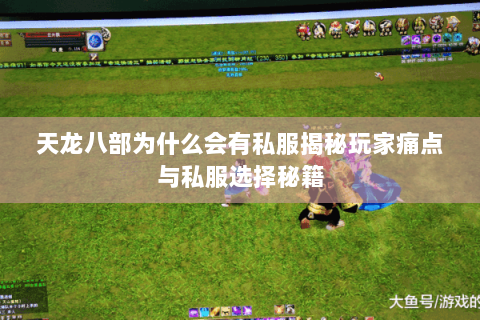 天龙八部为什么会有私服揭秘玩家痛点与私服选择秘籍 天龙八部为什么会有私服揭秘玩家痛点与私服选择秘籍