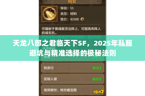 天龙八部之君临天下SF,2025年私服避坑与精准选择的极秘法则 天龙八部之君临天下SF,2025年私服避坑与精准选择的极秘法则