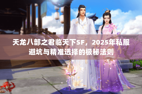 天龙八部之君临天下SF,2025年私服避坑与精准选择的极秘法则 天龙八部之君临天下SF,2025年私服避坑与精准选择的极秘法则
