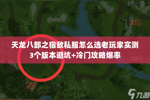 天龙八部之宿敌私服怎么选老玩家实测3个版本避坑+冷门攻略爆率 天龙八部之宿敌私服怎么选老玩家实测3个版本避坑+冷门攻略爆率