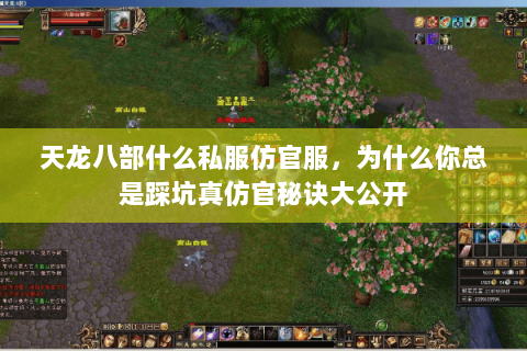 天龙八部什么私服仿官服,为什么你总是踩坑真仿官秘诀大公开 天龙八部什么私服仿官服,为什么你总是踩坑真仿官秘诀大公开