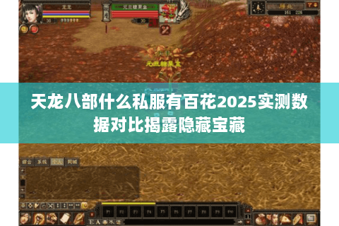 天龙八部什么私服有百花2025实测数据对比揭露隐藏宝藏 天龙八部什么私服有百花2025实测数据对比揭露隐藏宝藏