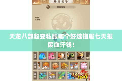 天龙八部超变私服哪个好选错服七天报废血汗钱！