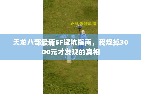 天龙八部最新SF避坑指南,我烧掉3000元才发现的真相 天龙八部最新SF避坑指南,我烧掉3000元才发现的真相