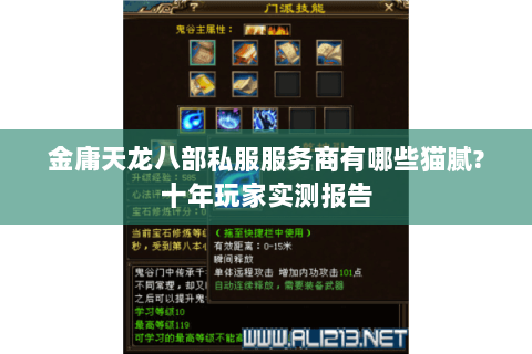 金庸天龙八部私服服务商有哪些猫腻?十年玩家实测报告