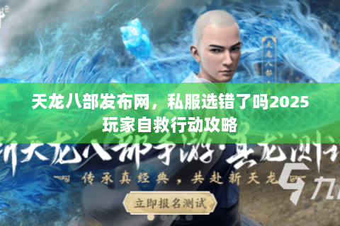 天龙八部发布网，私服选错了吗2025玩家自救行动攻略