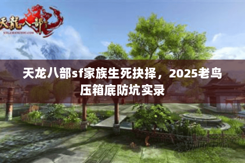 天龙八部sf家族生死抉择,2025老鸟压箱底防坑实录 天龙八部sf家族生死抉择,2025老鸟压箱底防坑实录