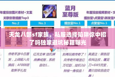 天龙八部sf家族,私服选择陷阱你中招了吗独家避坑秘籍曝光 天龙八部sf家族,私服选择陷阱你中招了吗独家避坑秘籍曝光