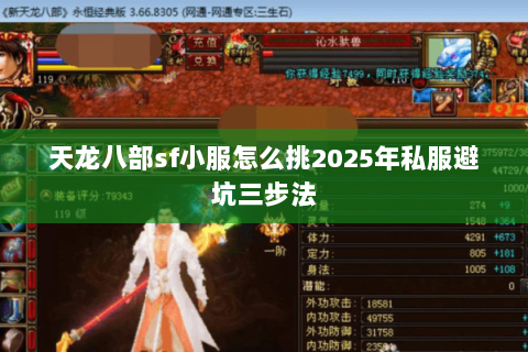 天龙八部sf小服怎么挑2025年私服避坑三步法 天龙八部sf小服怎么挑2025年私服避坑三步法
