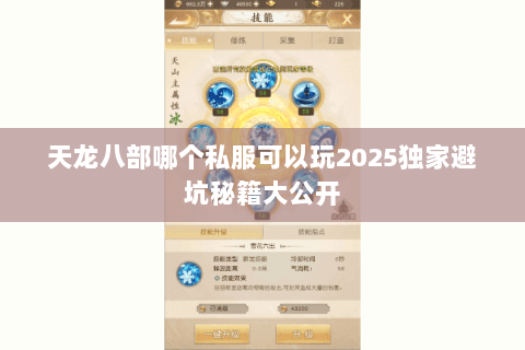 天龙八部哪个私服可以玩2025独家避坑秘籍大公开 天龙八部哪个私服可以玩2025独家避坑秘籍大公开