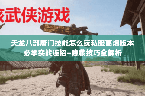 天龙八部唐门技能怎么玩私服高爆版本必学实战连招+隐藏技巧全解析 天龙八部唐门技能怎么玩私服高爆版本必学实战连招+隐藏技巧全解析