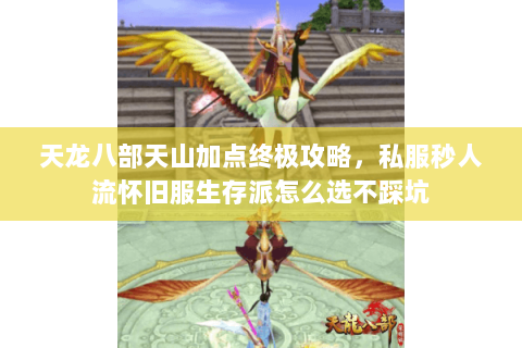 天龙八部天山加点终极攻略,私服秒人流怀旧服生存派怎么选不踩坑 天龙八部天山加点终极攻略,私服秒人流怀旧服生存派怎么选不踩坑