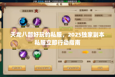 天龙八部好玩的私服,2025独家副本私服立即行动指南 天龙八部好玩的私服,2025独家副本私服立即行动指南