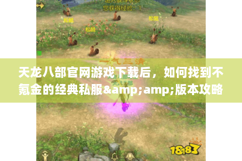 天龙八部官网游戏下载后,如何找到不氪金的经典私服&版本攻略 天龙八部官网游戏下载后,如何找到不氪金的经典私服&版本攻略