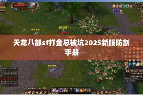天龙八部sf打金总被坑2025新服防割手册 天龙八部sf打金总被坑2025新服防割手册