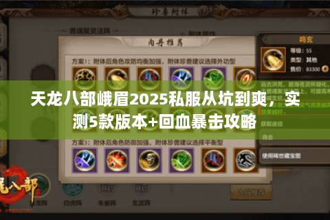 天龙八部峨眉2025私服从坑到爽,实测5款版本+回血暴击攻略 天龙八部峨眉2025私服从坑到爽,实测5款版本+回血暴击攻略