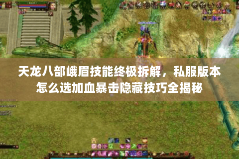天龙八部峨眉技能终极拆解,私服版本怎么选加血暴击隐藏技巧全揭秘 天龙八部峨眉技能终极拆解,私服版本怎么选加血暴击隐藏技巧全揭秘