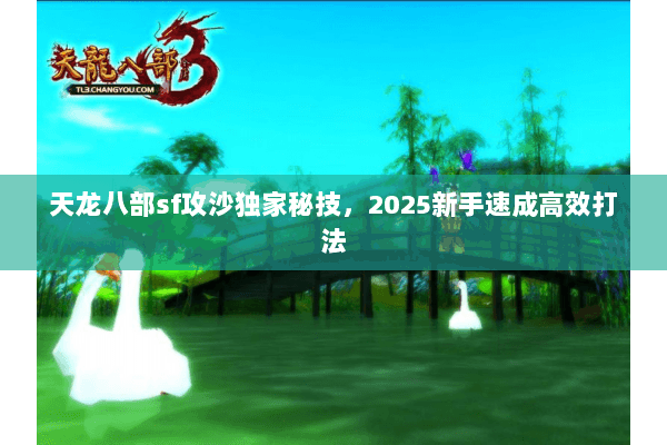 天龙八部sf攻沙独家秘技,2025新手速成高效打法 天龙八部sf攻沙独家秘技,2025新手速成高效打法