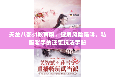 天龙八部sf教育网,破解风险陷阱,私服老手的逆袭玩法手册 天龙八部sf教育网,破解风险陷阱,私服老手的逆袭玩法手册