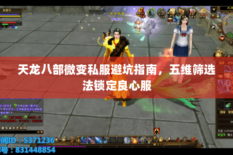 天龙八部微变私服避坑指南,五维筛选法锁定良心服 天龙八部微变私服避坑指南,五维筛选法锁定良心服