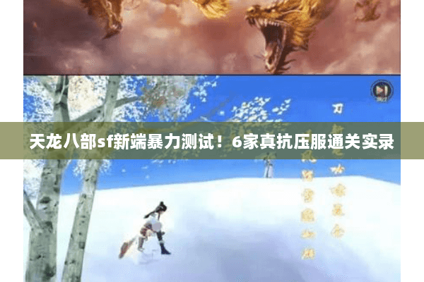 天龙八部sf新端暴力测试!6家真抗压服通关实录 天龙八部sf新端暴力测试!6家真抗压服通关实录