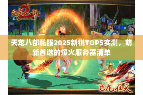 天龙八部私服2025新锐TOP5实测,萌新首选的爆火服务器清单 天龙八部私服2025新锐TOP5实测,萌新首选的爆火服务器清单