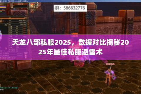 天龙八部私服2025,数据对比揭秘2025年最佳私服避雷术 天龙八部私服2025,数据对比揭秘2025年最佳私服避雷术