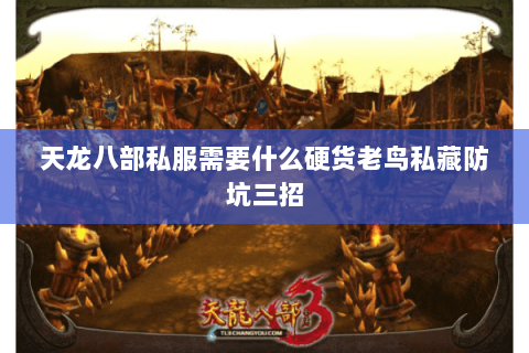 天龙八部私服需要什么硬货老鸟私藏防坑三招 天龙八部私服需要什么硬货老鸟私藏防坑三招