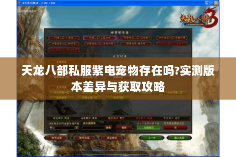 天龙八部私服紫电宠物存在吗?实测版本差异与获取攻略 天龙八部私服紫电宠物存在吗?实测版本差异与获取攻略