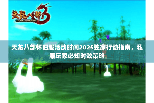 天龙八部怀旧服活动时间2025独家行动指南,私服玩家必知时效策略 天龙八部怀旧服活动时间2025独家行动指南,私服玩家必知时效策略