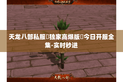 天龙八部私服▷独家高爆版◁今日开服全集·实时秒进 天龙八部私服▷独家高爆版◁今日开服全集·实时秒进