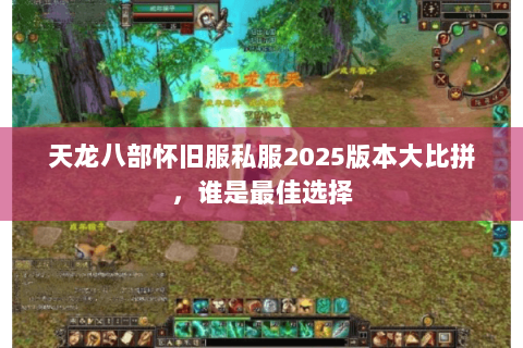 天龙八部怀旧服私服2025版本大比拼,谁是最佳选择 天龙八部怀旧服私服2025版本大比拼,谁是最佳选择