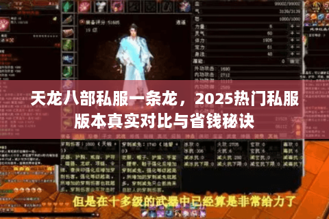 天龙八部私服一条龙,2025热门私服版本真实对比与省钱秘诀 天龙八部私服一条龙,2025热门私服版本真实对比与省钱秘诀