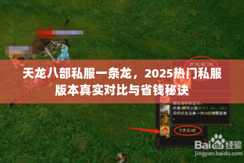 天龙八部私服一条龙,2025热门私服版本真实对比与省钱秘诀 天龙八部私服一条龙,2025热门私服版本真实对比与省钱秘诀