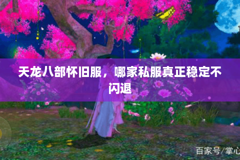 天龙八部怀旧服,哪家私服真正稳定不闪退 天龙八部怀旧服,哪家私服真正稳定不闪退