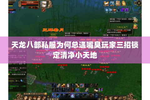 天龙八部私服为何总遇嘴臭玩家三招锁定清净小天地 天龙八部私服为何总遇嘴臭玩家三招锁定清净小天地