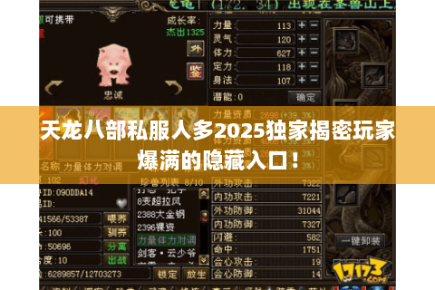 天龙八部私服人多2025独家揭密玩家爆满的隐藏入口！