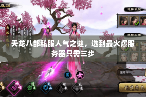 天龙八部私服人气之谜,选到最火爆服务器只需三步 天龙八部私服人气之谜,选到最火爆服务器只需三步