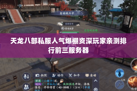 天龙八部私服人气爆棚资深玩家亲测排行前三服务器 天龙八部私服人气爆棚资深玩家亲测排行前三服务器