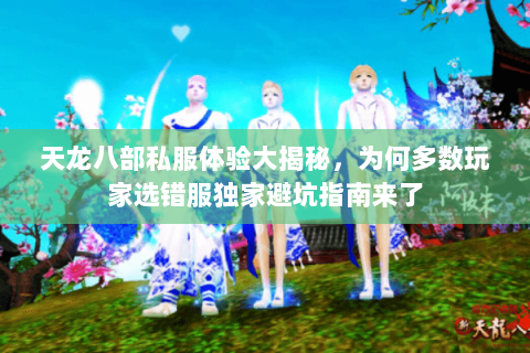 天龙八部私服体验大揭秘,为何多数玩家选错服独家避坑指南来了 天龙八部私服体验大揭秘,为何多数玩家选错服独家避坑指南来了