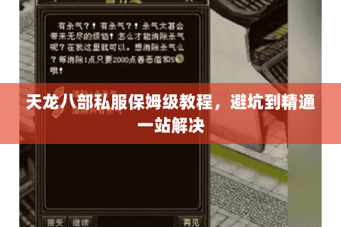 天龙八部私服保姆级教程,避坑到精通一站解决 天龙八部私服保姆级教程,避坑到精通一站解决