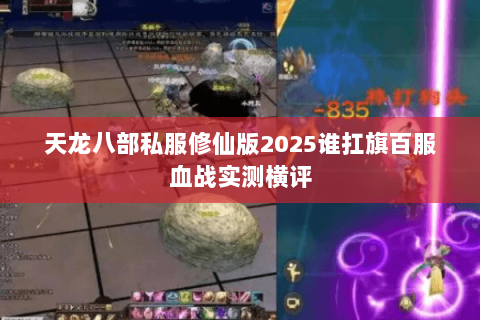 天龙八部私服修仙版2025谁扛旗百服血战实测横评 天龙八部私服修仙版2025谁扛旗百服血战实测横评