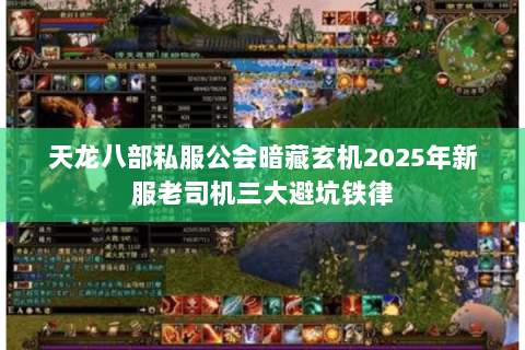 天龙八部私服公会暗藏玄机2025年新服老司机三大避坑铁律 天龙八部私服公会暗藏玄机2025年新服老司机三大避坑铁律