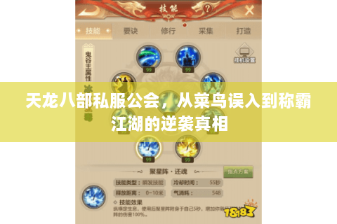 天龙八部私服公会,从菜鸟误入到称霸江湖的逆袭真相 天龙八部私服公会,从菜鸟误入到称霸江湖的逆袭真相