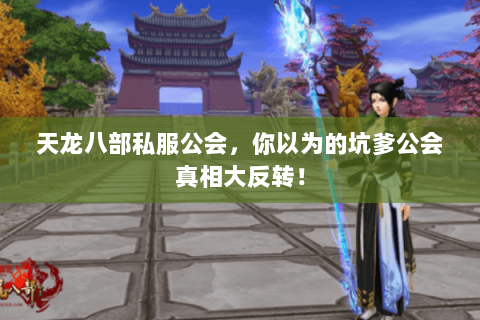 天龙八部私服公会,你以为的坑爹公会真相大反转! 天龙八部私服公会,你以为的坑爹公会真相大反转!