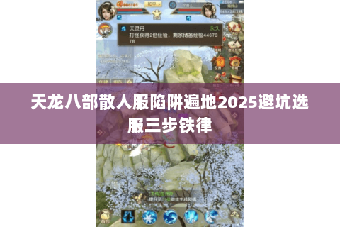 天龙八部散人服陷阱遍地2025避坑选服三步铁律 天龙八部散人服陷阱遍地2025避坑选服三步铁律