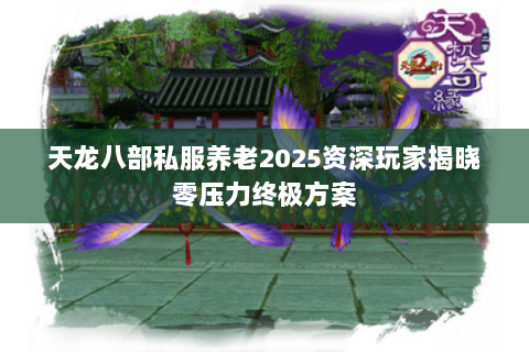 天龙八部私服养老2025资深玩家揭晓零压力终极方案 天龙八部私服养老2025资深玩家揭晓零压力终极方案