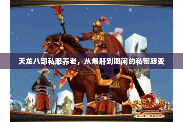 天龙八部私服养老,从爆肝到悠闲的私密转变 天龙八部私服养老,从爆肝到悠闲的私密转变